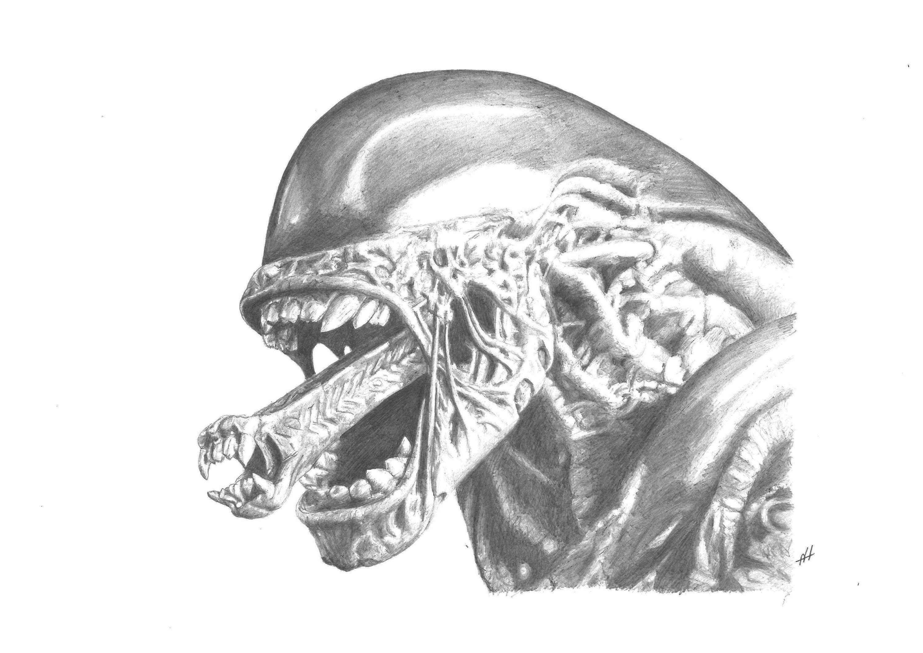 How To Draw Alien VS Predator I Alien and Predator Drawing Tutorial -  YouTube