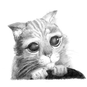 PUSS IN STIEFEL Bleistiftzeichnung