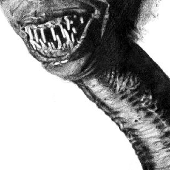 BeetleJUICE Cabeza de serpiente dibujo a lápiz - Etsy México BeetleJUICE Cabeza de serpiente dibujo a lápiz - Etsy México