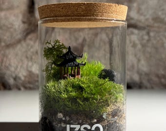 Könnte beinhalten: Ein gläsernes Terrarium mit Korkdeckel, das grünes Moos, eine kleine schwarze Pagodenfigur und einen dunklen Stein enthält. Am Boden des Glases befindet sich der weiße Aufdruck IZSO OKOSYSTEM. Das Innere zeigt Erde und verschiedene organische Strukturen.