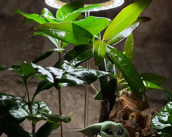 LED-plantenlamp voor terrariums en biotopen | USB-groeilamp met timer, 5 helderheidsniveaus | Warm wit zonlicht