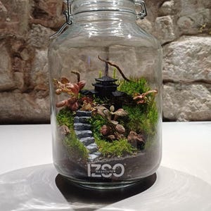 Könnte beinhalten: Ein Glasterrarium mit einer Miniatur-Szene einer japanischen Pagode. Das Terrarium zeigt eine schwarze Pagode, Steinstufen, grünes Moos und rotbraune Pflanzen. Auf der Basis des Glases steht der Text "IZOO OKOSYSTEM".