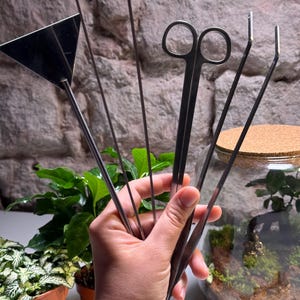 Könnte beinhalten: Ein Set aus fünf Terrarienwerkzeugen aus Edelstahl, bestehend aus einem dreieckigen Bodenbegradiger, zwei geraden Stäben, einer Schere mit Ringgriffen und einer abgewinkelten Pinzette, die fächerförmig gehalten werden.