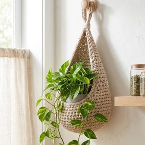 Peut inclure: Un pot de fleurs suspendu en crochet beige avec une plante verte retombante. Le pot est suspendu à une cheville en bois sur un mur blanc. La plante a des feuilles vertes vives avec des panachures jaunes.