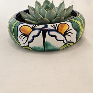 Könnte beinhalten: Ein Keramik-Sukkulenten-Pflanzgefäß mit handbemaltem Blumendesign. Der Pflanztopf ist rund mit blauem Rand und weißer Basis, mit gelben und orangefarbenen Blumenakzenten. Die Sukkulente hat grün-blaue Blätter.