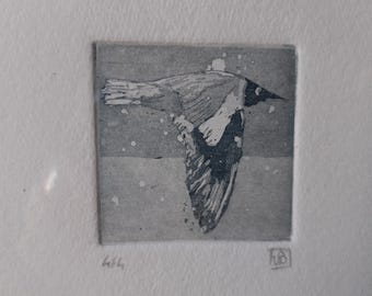 Mouette