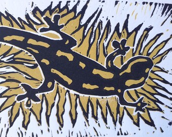 Salamandre