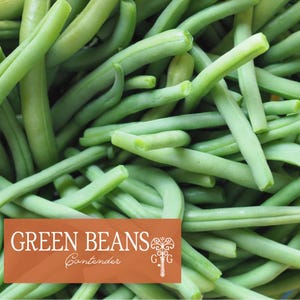 May include: A close-up shot of fresh, vibrant green beans. The beans are a bright, healthy green color, with a slightly curved shape. The image includes a brown rectangle with the words "GREEN BEANS Contender".
