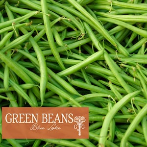 May include: A close-up shot of a pile of fresh, vibrant green beans. The beans are long, slender, and have a bright green color. The image includes a brown rectangle with the words "GREEN BEANS" and "Blue Lake" in white text.
