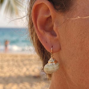 Peut inclure: Une boucle d'oreille créole dorée avec une petite breloque en forme de coquillage vert pâle et lisse. Le coquillage est surmonté d'un capuchon métallique doré brillant là où il se fixe à l'anneau, formant un bijou simple et cohérent.
