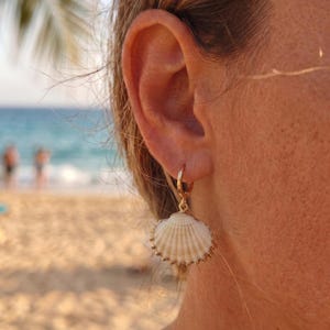 May include: A gold hoop earring featuring a small, natural white seashell charm with delicate ridges. The earring is secured through the earlobe, showcasing the textured surface of the shell and the polished metallic finish of the circular hoop.
