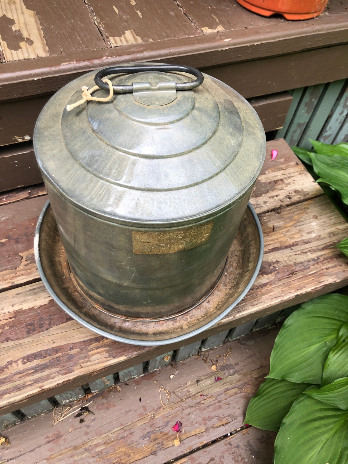 Vintage Galvanized Chicken Waterergarden Decorfarmhouse Etsy