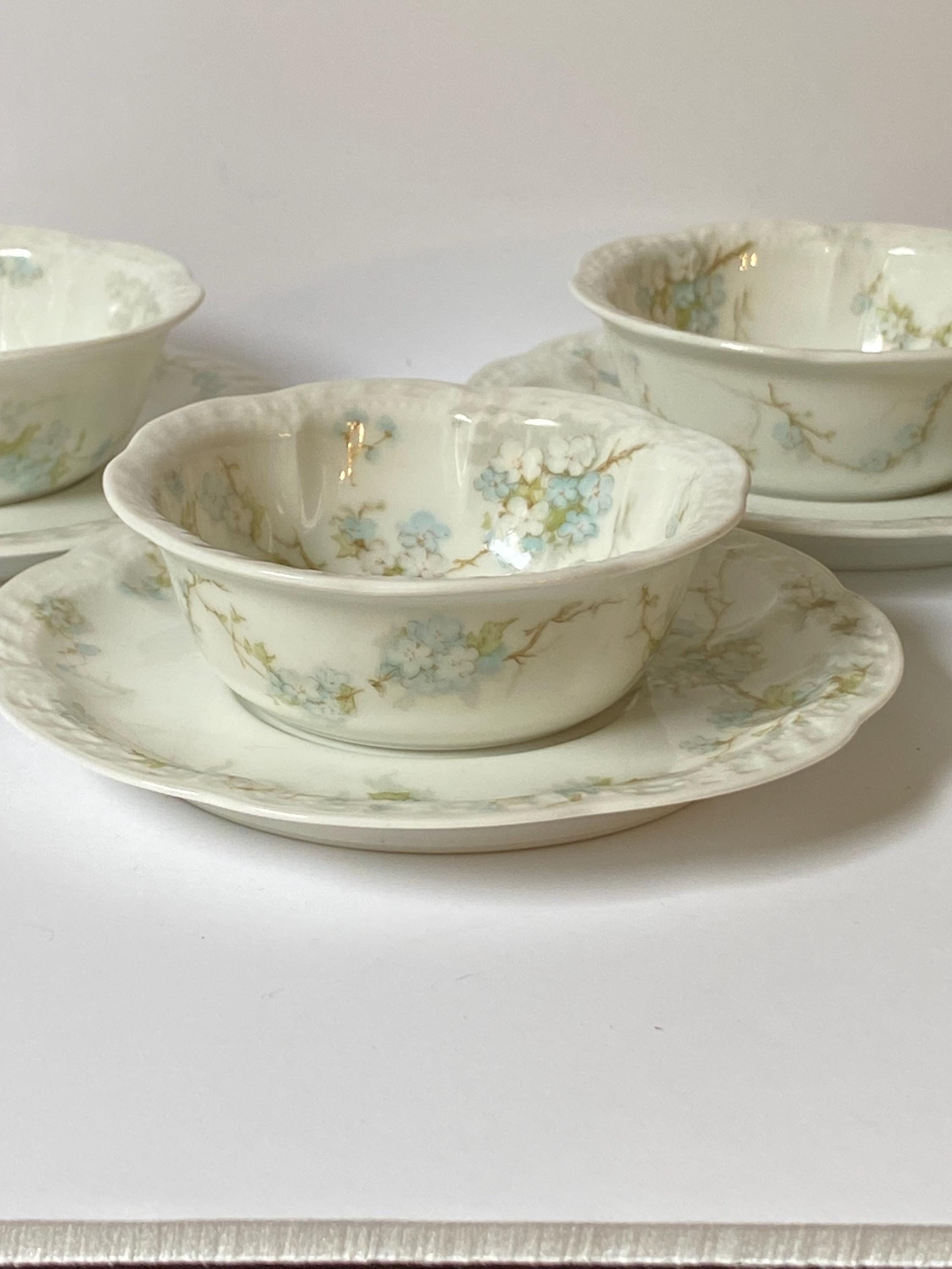 Haviland Limoges Forget Me Not - Etsy
