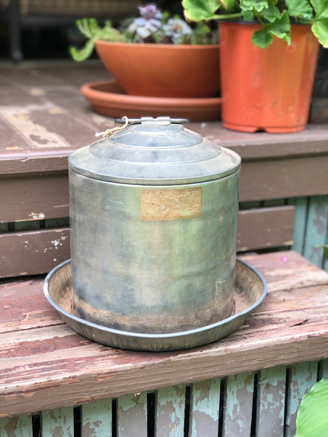 Vintage Galvanized Chicken Waterer,garden Decor,farmhouse Decor Etsy