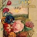 Laurie Willard