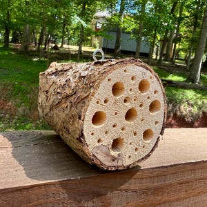 Könnte beinhalten: Ein Bienenhaus aus Naturholz mit zahlreichen Löchern zum Nisten. Der zylindrische Holzstamm hat eine raue Rinde außen und einen glatten, hellen Innenraum mit unterschiedlich großen Öffnungen. Eine Metallschlaufe ist zum Aufhängen angebracht.