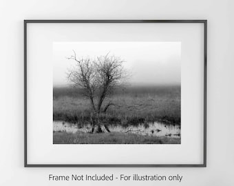 Winter Tree and Pond - Black and White  Photography Print, Minimal Moody Foggy Wetlands