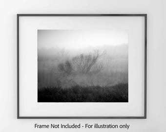 Branches in Fog - Black and White  Photography Print, Minimal Moody Foggy Wetlands