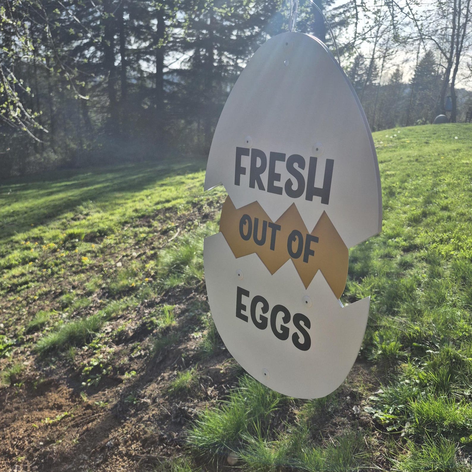Handmade Aluminum Egg Sign: Fresh Eggs Farm Stand Signage - Etsy