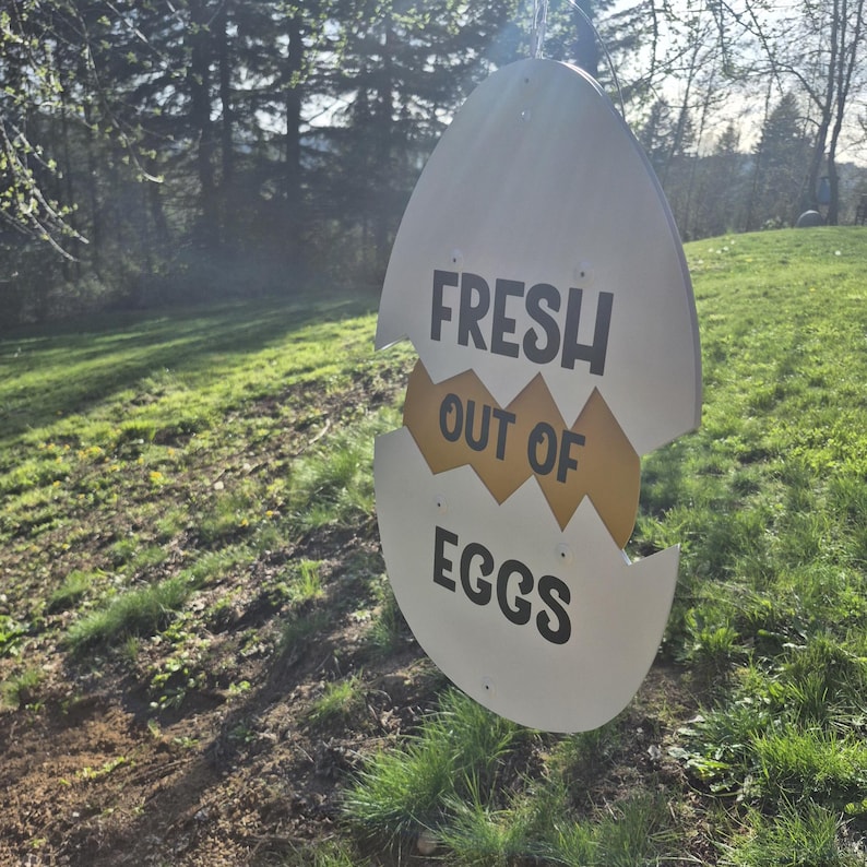 Handmade Aluminum Egg Sign: Fresh Eggs Farm Stand signage image 2