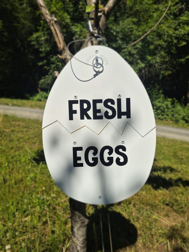 May include: A white, egg-shaped metal sign featuring a horizontal jagged crack across the middle. The text "FRESH" is printed in black capital letters above the crack, and "EGGS" is printed in black capital letters below the crack. A metal wire loop is attached to the top for hanging.