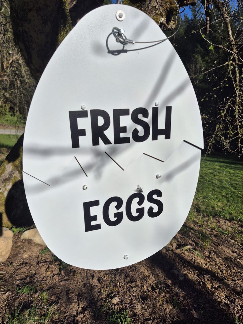 May include: A white, egg-shaped metal sign featuring a jagged horizontal crack across the middle. The text "FRESH" is printed in black capital letters above the crack, and "EGGS" is printed in black capital letters below. A metal wire is attached.