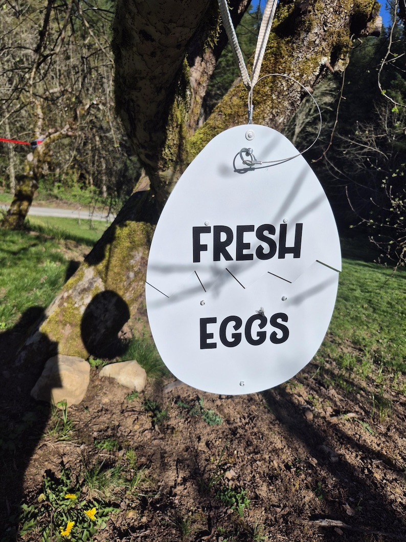 Handmade Aluminum Egg Sign: Fresh Eggs Farm Stand signage image 3
