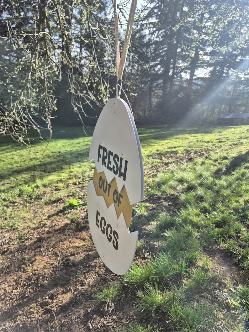 May include: A white, egg-shaped hanging sign with a jagged horizontal crack across the center. The sign features the black text "FRESH OUT OF EGGS" printed on the surface, with a yellow interior visible through the crack, suspended by a tan ribbon.