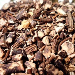 Racine de Mandragore Naturelle – Magie Traditionnelle et Pratiques Ésotériques