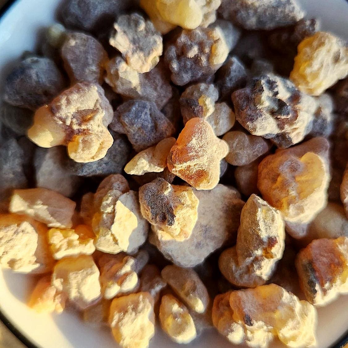 Boswellia seeds - Etsy 日本