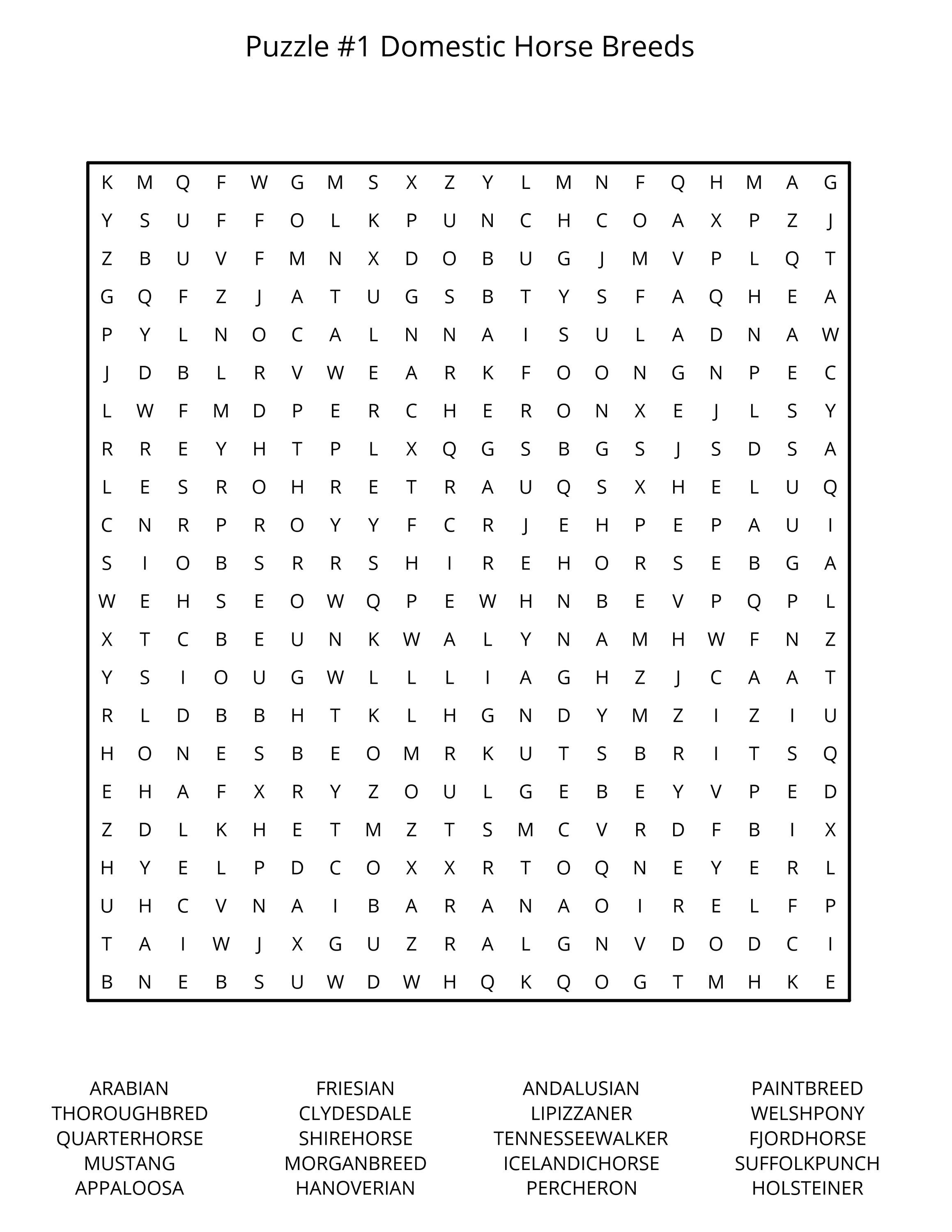 25 Horse Word Search Puzzles — Large Print Fun & Easy Equine Activity ...