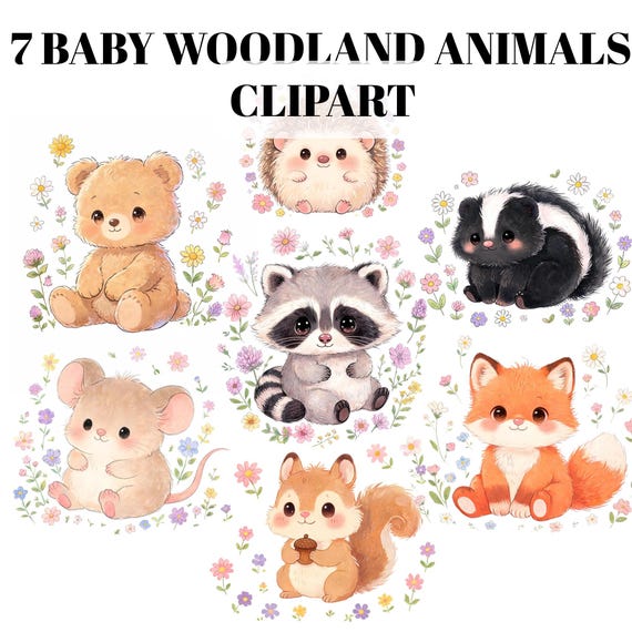 Baby Woodland Animal Clipart Bundle, Cute Forest Animals PNG, Watercolor Nursery Clipart, Bear Fox Raccoon Skunk Hedgehog Mouse