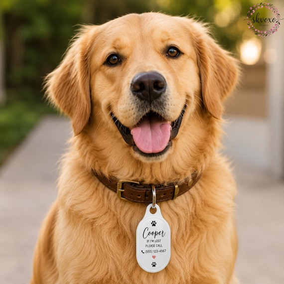 Personalized Pet ID AirTag Cover Keychain | Custom Name & Phone
