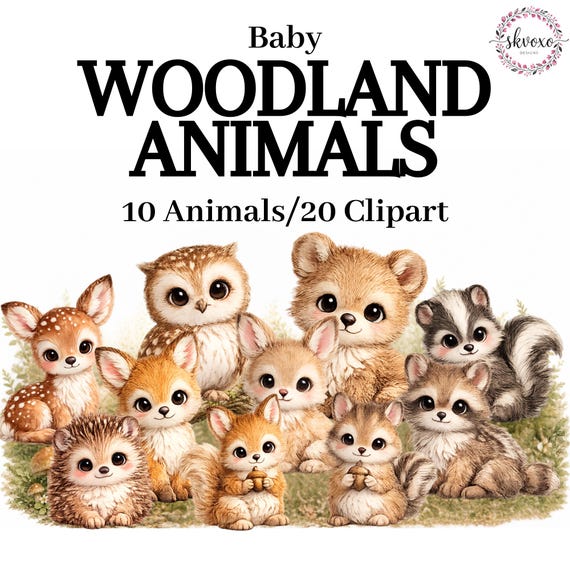 Cute Watercolor Woodland Animals Clipart | Forest Creatures PNG Bundle | Digital Download | PNG, Commercial Use