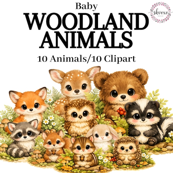 Cute Watercolor Woodland Animals Clipart | Forest Creatures PNG Bundle | Digital Download | PNG, Commercial Use