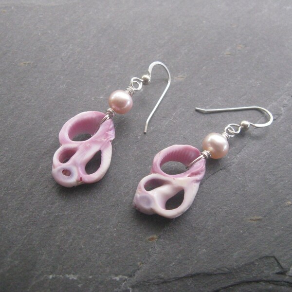Pink Freshwater Button Pearls, Sliced Shell Pieces, Sterling Silver Dangle Earrings