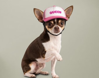 Gorro para perros con orificios para las orejas / Visera parasol para mascotas para perros pequeños, medianos y grandes, rosa, negro, azul, rojo.