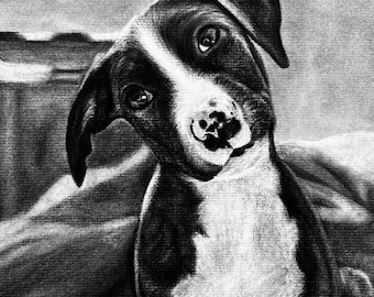 Custom Charcoal Portrait- One Animal