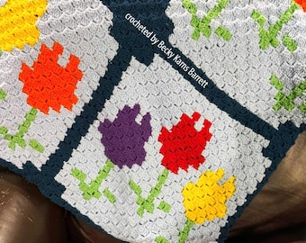 Janet Small Throw C2C Crochet Pattern