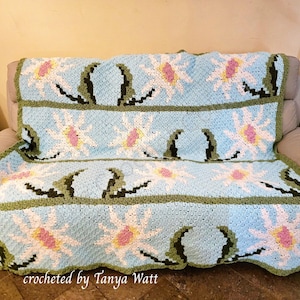 Daisy Parade Afghan C2C Crochet Pattern, Written Row by Row, Color Counts, Instant Download, C2C Graph, C2C Pattern, C2C Crochet, Graphgan
