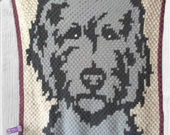 Golden Doodle Afghan C2C Crochet Pattern, Written Row by Row, Color Counts, Instant Download, C2C Graph, C2C Pattern, c2c graphgan pattern