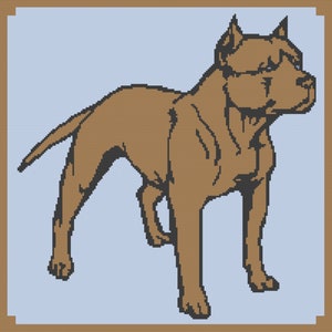 May include: A brown pit bull terrier dog standing on a light blue background. The dog is looking to the right of the image.