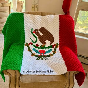 May include: A crocheted blanket featuring the Mexican flag design with vertical green, white, and red stripes. The center white stripe displays a brown eagle perched on a cactus with green and red details. The text "crocheted by Diane Algire" is visible.