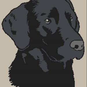May include: A digital illustration of a black Labrador Retriever dog's head and shoulders. The dog's fur is depicted in shades of black and grey, with a detailed nose and expressive eyes. The background is a light beige colour.
