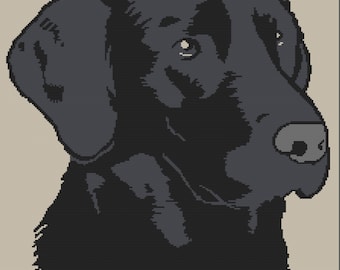 Black Lab SC or TSS Crochet Pattern, Graph and Written Row by Row included