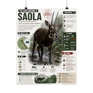 May include: An educational poster featuring a Saola, a dark brown mammal with long straight horns and white facial markings. The infographic includes text about its habitat, diet, and conservation status, with a map and data points.
