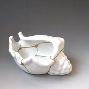 Può includere: Una ciotola in ceramica bianca a forma di conchiglia con linee color oro che tracciano la superficie, evidenziando un motivo di riparazione. La ciotola ha una finitura liscia e lucida con un'estremità arrotondata e strutturata e una struttura interna aperta e curva.