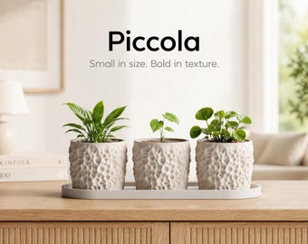 Juego de macetas Piccola - Trío de mini maceteros impresos en 3D