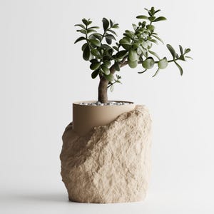 May include: A small green jade plant with thick, rounded leaves planted in a smooth, cylindrical beige pot that is partially encased in a textured, light tan rock-like base with a layer of small white pebbles covering the soil surface.