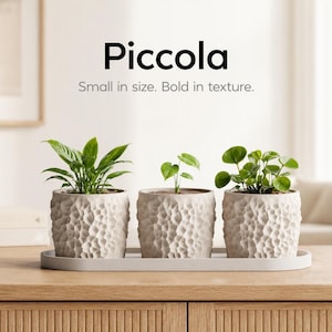 May include: Three small, textured, white ceramic planters with green plants, arranged on a gray tray. The word "Piccola" is displayed above the planters, with the text "Small in size. Bold in texture."